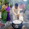 Thaipongal Festival_17.01.2023
